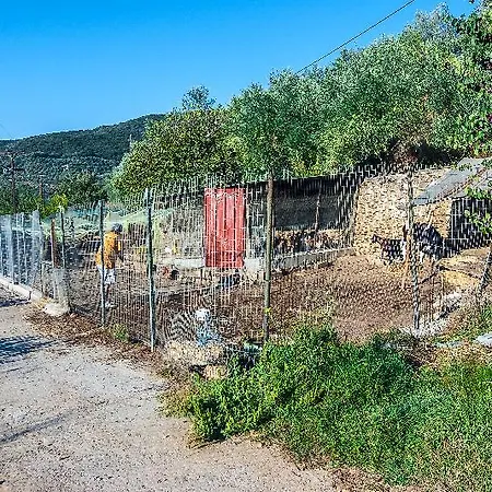 Hotel Pyrgos Petropoulaki