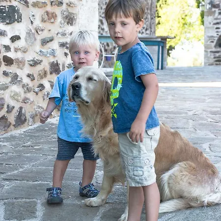 Pyrgos Petropoulaki Mavrovouni (Laconia)