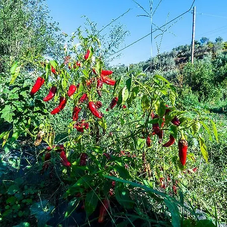 Pyrgos Petropoulaki Hotel
